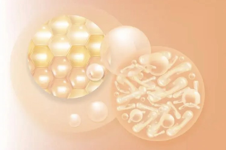 Probiotic freeze-dried powder 2 Probiotic freeze-dried powder 2