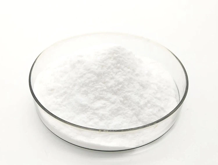 Ococcus Probiotics