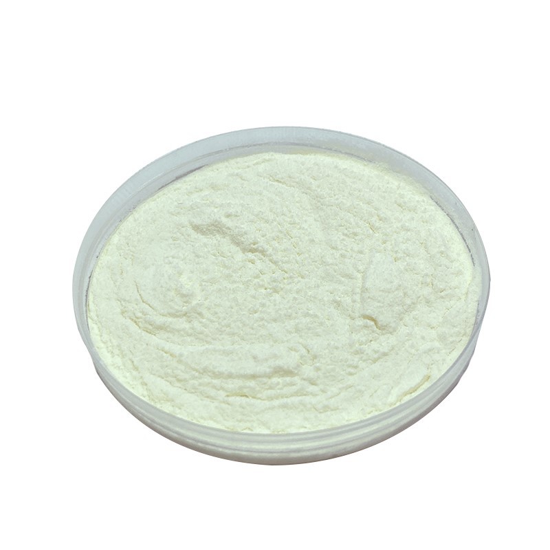 Lactobacillus johnsonii 456
